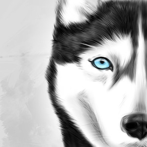 Глаза как у хаски (Explicit)