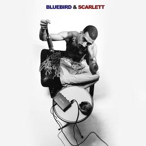 Jackie Brown (feat. Dafilov) (Explicit)