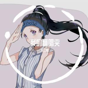 每颗流星都见证