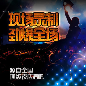 漫漫长夜DJ (DJ版)