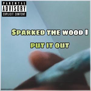 Sparked the wood I put it out (Explicit)