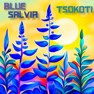 Blue Salvia
