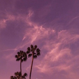 THE BIRD (བྱིའུ་ཆུང་གི་འདབ་ལེ་)