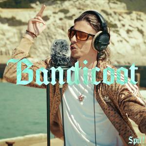 Bandicoot (feat. Sheeda) (Explicit)