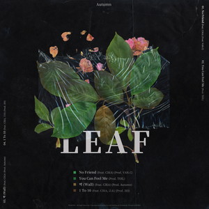 Leaf