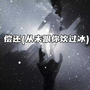 偿还(从未跟你饮过冰)