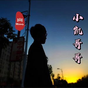 条子专属