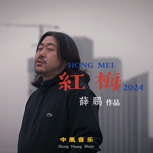 薛鹏-红梅[MP3_LRC]_MP3下载