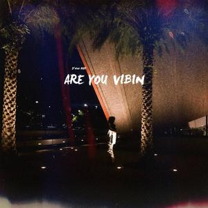 Are You Vibin