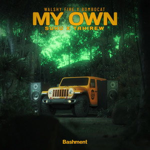 MY OWN (Explicit)