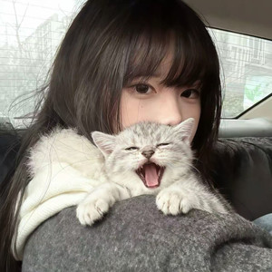 清明上河图(几秒钟的世界)