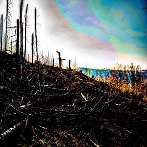 CZECH SWISS (feat. SEBBYPICKLES, STUMP, RIZZU & MAYA FROM THE BURGH) (songs4) (Explicit)