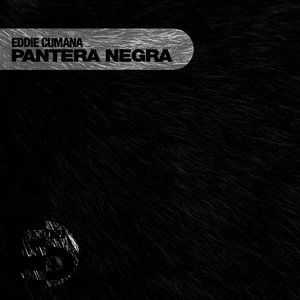 Pantera Negra