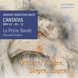 Bach: Cantatas, Vol. 11