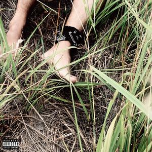 ทางทัวร์ (Explicit)