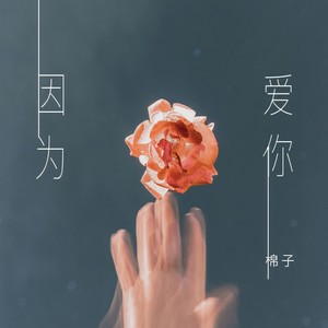 因为爱你封面