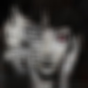 Everything Was a Lie