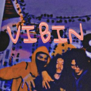 VIBIN (Explicit)