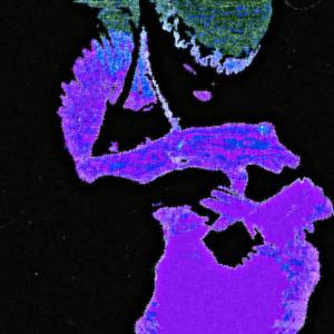 Hacked My Discord (Explicit)