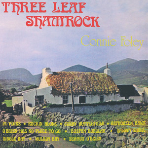 Three Leaf Shamrock