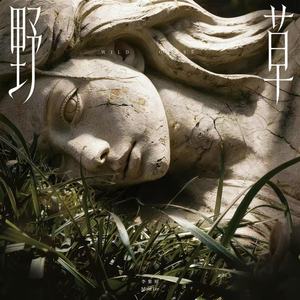 野草