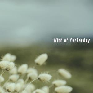 Wind Of Yesterday