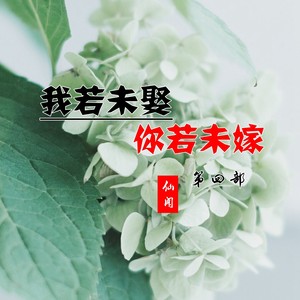 我若未娶你若未嫁第四部