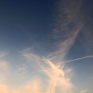笑噶了
