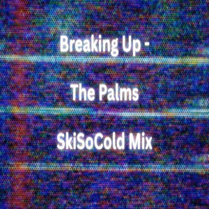 Breakin Up (feat. The Palms) (SkiSoCold Mix)