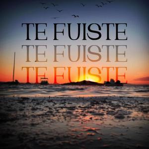 Te Fuiste (feat. Nummy J)