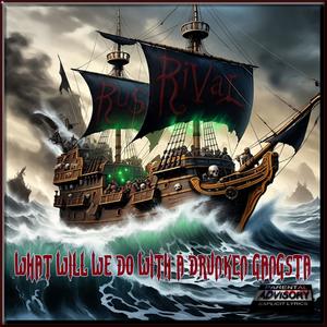 What Will We Do With A Drunken Gangsta (Explicit)