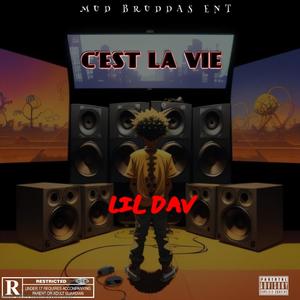 C'est La Vie (Explicit)