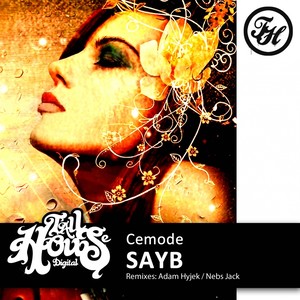 SAYB (Nebs Jack Remix)