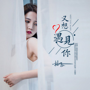 又想遇见你