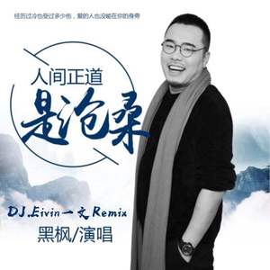 【黑枫】人间正道是沧桑(DJ.Eivin一文 Extended Mix)