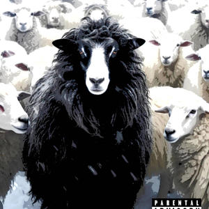 Black Sheep (Explicit)