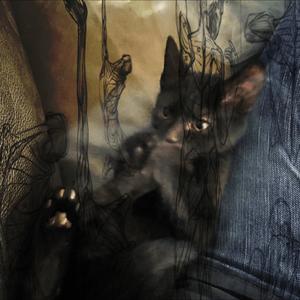 newport motel - skin