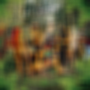 Guitar Cable Technical