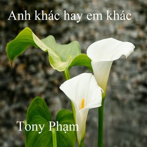 Anh khác hay em khác