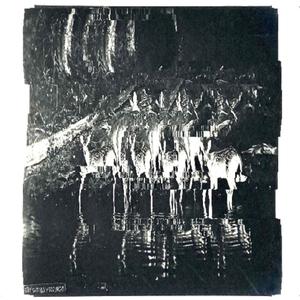 Dropship (feat. Gauche) (Explicit)