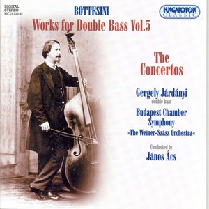 Double Bass Concerto No. 2 in B Minor - Double Bass Concerto No. 2 in B Minor: I. Allegro moderato