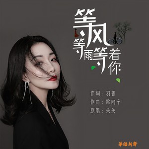 等风等雨等着你 - 关关封面