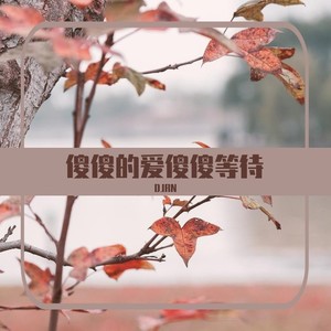 傻傻的爱傻傻等待 (DJRN remix|Remix)