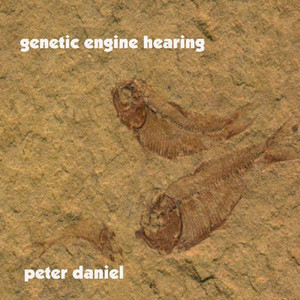 Genetic Engine Hearing