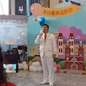 美丽的水鸟 美丽的岛