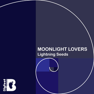 Midnight Lovers (Radio Edit)