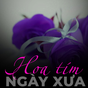 Hoa tím ngày xưa