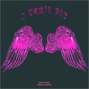 I can't Fly (prod. The Ushanka Boy) [Explicit]