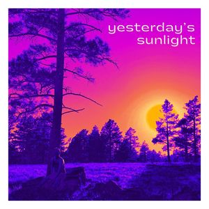 yesterday's sunlight