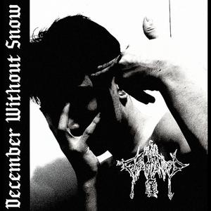 December Without Snow